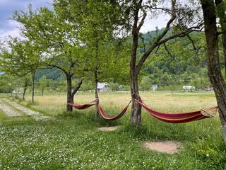 Hammocks in the north of Albania . 