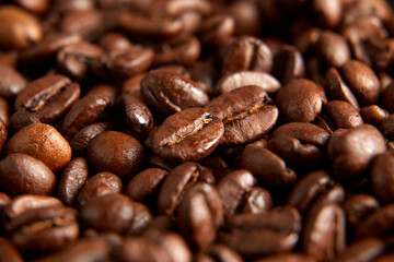 Coffee beans background