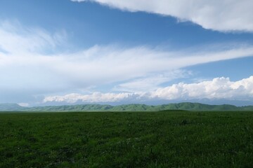 Fototapeta na wymiar wide green prairie with hills under white clouds blue sky. In Xinjiang China 