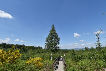 Ortelsbruch