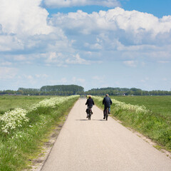 couple on bicycle passes white summer flowers on country road near meadows in holland under blue summer sky