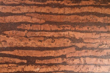 Wood Texture