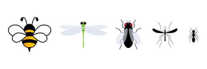 Cute insect flat character set. Cute bee, dragonfly, fly, mosquito and ant. Vector isolate on white