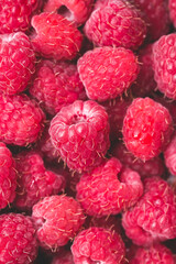 fresh red raspberry background. summer berries