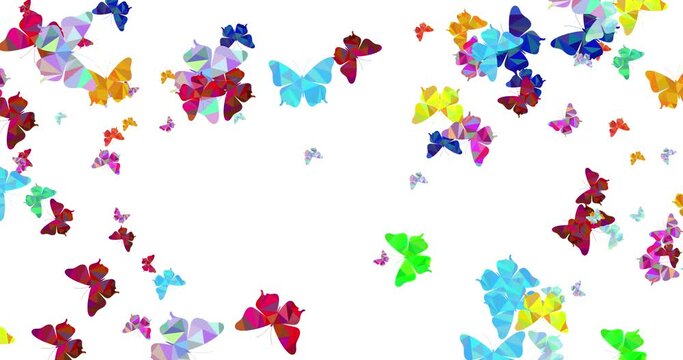 Polygonal butterflies fly and rotate on a white background. Animation of the movement of the drawn butterflies. Horizontal composition, 4k video quality