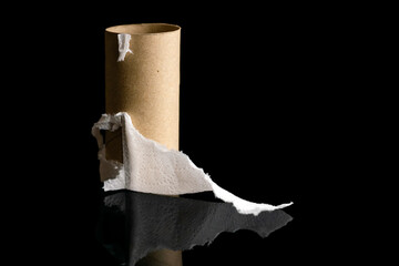 Cardboard sleeve from a roll of toilet paper.