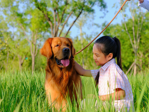 Happy girl and pet dog playing in the park