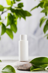 A white tube of cosmetics on a stone among the leaves. The concept of natural plant cosmetics. Mockup.
