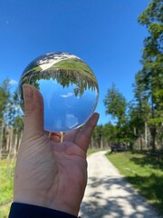 Glaskugelfotografie im Wald von Oerlinghausen