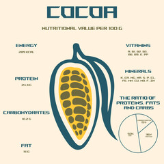 Cocoa, vector illustration . Calorie and energy value of foods. Chemical composition and nutritional value. Chocolate infographics.