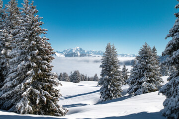 Mer de nuages au Semnoz en hiver