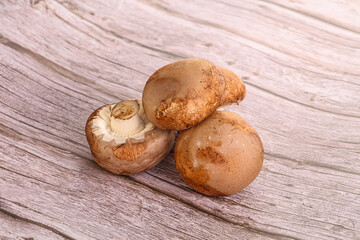 Raw brown champignons mushroom heap