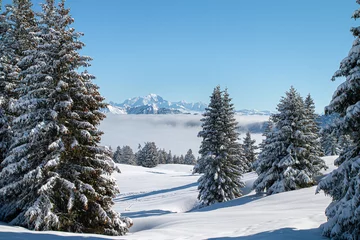 Crédence de cuisine en verre imprimé Mont Blanc Mer de nuages au Semnoz en hiver