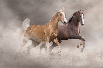 Obraz na płótnie Canvas Palomino and bay horse run free in desert sand