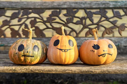 Halloween three pumpkins outdoor, nobody, on wooden old bench