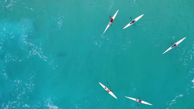 Aerial drone bird's eye view video of sport Kayak and canoe on summer day at the ocean sea. Top down shot on people swimming with sharks Group of people on sea kayaks swimming in open sea in beautiful