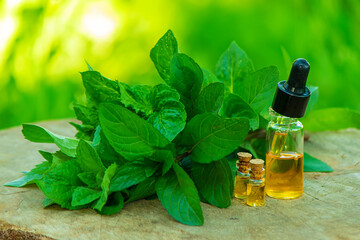 bottle of essential oil Peppermint with fresh mint leaves, herbal scent in a dark glass jar. On the stump. Aromatherapy concept.