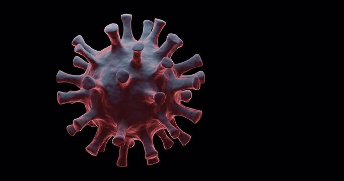 3d render of a spinning virus for coronavirus covid 19 concepts on transparent background.