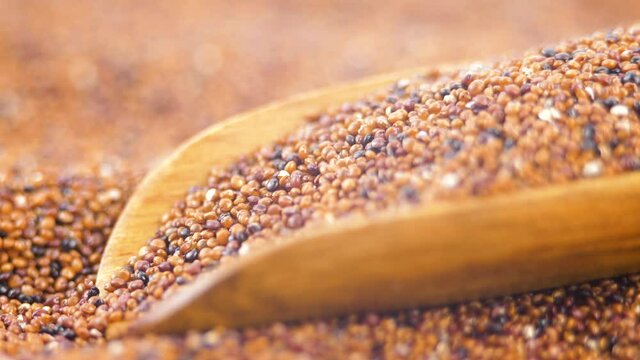 Canihua Seeds In Shovel Moving Focus Background. Organic Superfood Chenopodium Pallidicaule as Goosefoot Quinoa. South American Grain. Healthy and Gluten Free Food Concept 