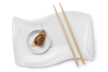 on a white plate for an asian dish, a snail sits, chopsticks lie next to it, concept, on a white background