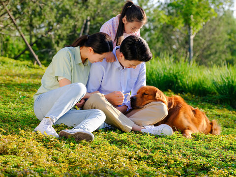 Happy family of three and pet dog playing in the park