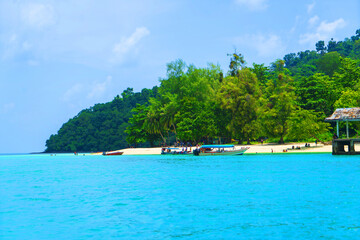 Fototapete bei efototapeten.de bestellen   