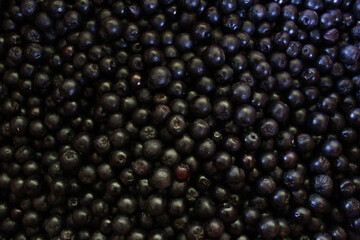 Chokeberry berries. Aronia berries. Chokeberry, aronia background fruit. Fruits. Berry. Freshly picked ripe berries. Aronia melanocarpa or black chokeberry background. Close up. Macro.