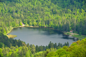 Fototapeta na wymiar Blick auf den Lac de Altenweiher in den Vogesen in Frankreich