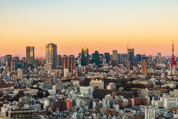 Obraz premium 東京都市風景 夕景