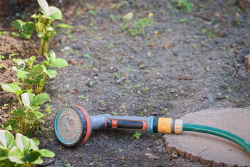 Sprinkler for water and a rubber hose lying on the soil in the garden 