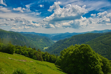 Obraz premium Vogesenidylle an der route des cretes