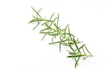 Branches of fresh rosemary isolated on a white background.