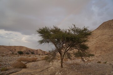 Hiking in twilight near Eilat in South Israel