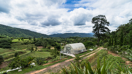 Greenhouse for roasting macadamias in countryside valley