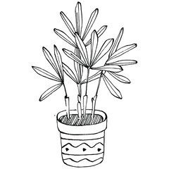 Home Plant in pots sketch. Outline drawing isolated  illustration of growing flowers in a hanging plant for interior home or office decoration. Vector of garden flowers.