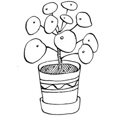 Home Plant in pots sketch. Outline drawing isolated  illustration of growing flowers in a hanging plant for interior home or office decoration. Vector of garden flowers.