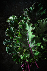 A closeup shot of fresh green curly kale leaves. Kale background.