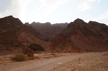 Hiking in twilight near Eilat in South Israel