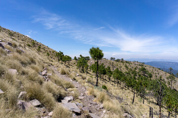 Fototapeta na wymiar landscape with blue sky and clouds / panorámica de sendero con el cielo azul y despejado; Parque Nacional Cumbres del Ajusco, México. 
