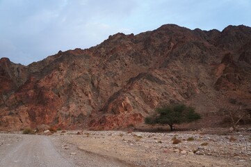 Hiking in twilight near Eilat in South Israel