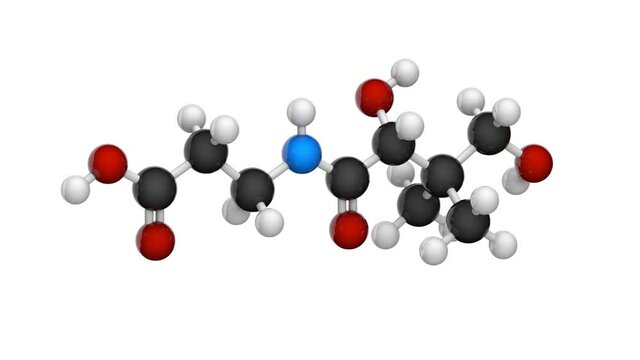 Molecular structure of Vitamin B5(Pantothenic acid). Also known as pantothenate. 3D render. Seamless loop. Chemical structure model: Ball and Stick. White background.