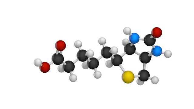 Molecular structure of Vitamin B7 (biotin). Also known as Vitamin H. 3D render. Seamless loop. Chemical structure model: Ball and Stick. White background.