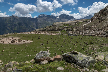 Tête de Vautisse , Paysage des Ecrins en été  , Hautes -Alpes , Alpes , France