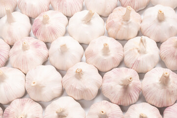 Garlic isolated on a white background.