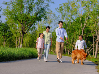Happy family of four walking dogs in the park