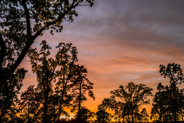 Evening landscape with clouds illuminated by the setting sun. Majestic sunset in the oak forest.