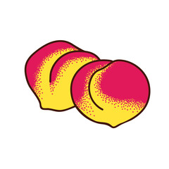 Two ripe peaches. Vector doodle illustration on white background.