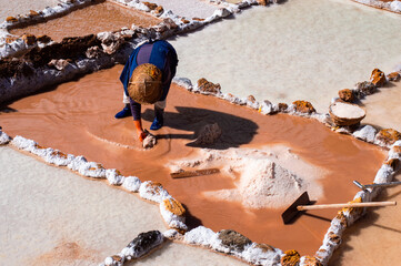 Female worker in Maras salt mines in Cusco, Peru

Artisanal salt extraction in Sacred Valley near to Cusco city - obrazy, fototapety, plakaty