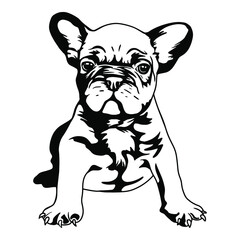 French Bulldog Puppy Vinyl Cutting File