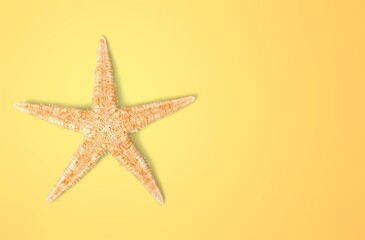 Fototapeta na wymiar Starfish.